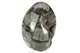 Septarian Dragon Egg Geode #234002-1